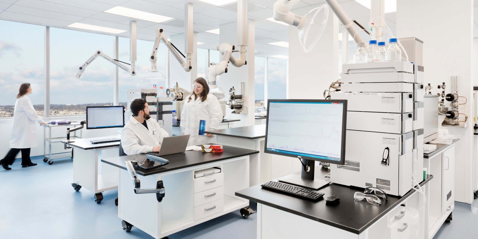 Establishment of Quality Laboratories for the Food Industry