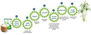 Sugar manufacturing stages