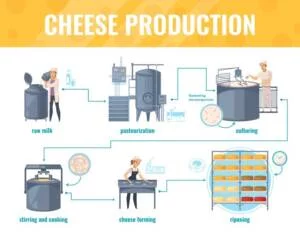 Cheese industry is cheese production