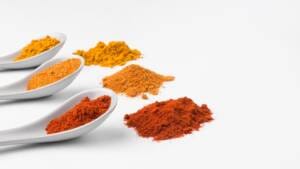 Baharat ve çeşni fabrikasının kurulması