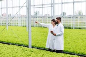 How to achieve food sustainability Sustainability in the Food Industry